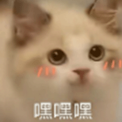 Emoji 9